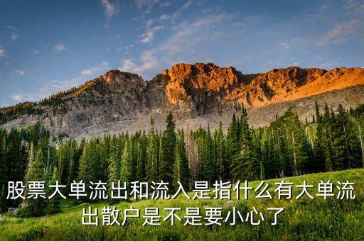 大單資金流出說明什么，實(shí)時(shí)資金流向大單進(jìn)出表明什么意思