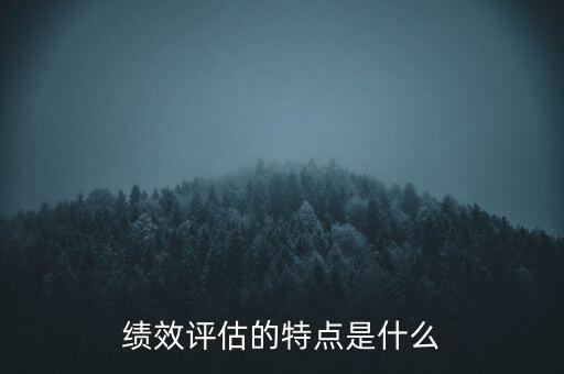 績效評(píng)估的特點(diǎn)是什么