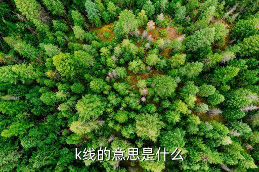 白執(zhí)帶k線(xiàn)是什么意思，現(xiàn)貨白銀日k線(xiàn)是什么意思