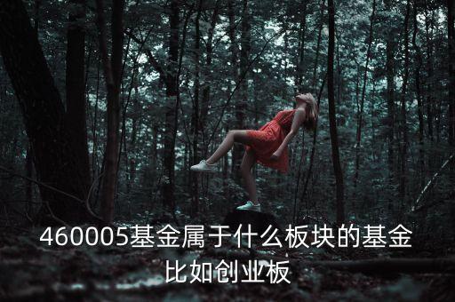 富國天益價(jià)值重倉什么板塊，460005基金屬于什么板塊的基金比如創(chuàng)業(yè)板