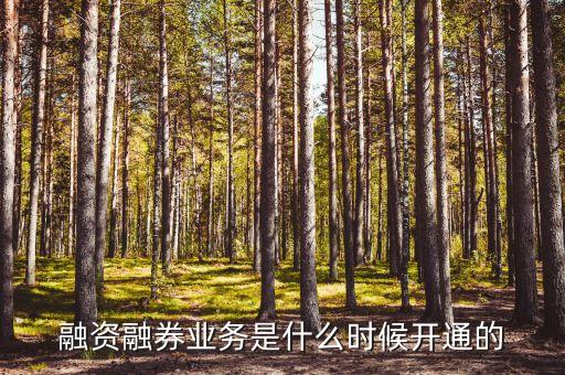 融資融券業(yè)務什么時候開始的，融資融券什么時候開始