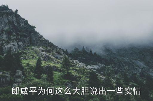 我為什么要回應(yīng)郎咸平，郎咸平為何這么大膽說出一些實情