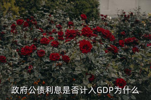 政府公債利息是什么，什么叫政府公債利息