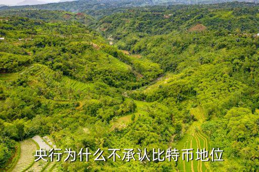 為什么中央不承認(rèn)比特，中美為什么不承認(rèn)比特幣的合法性