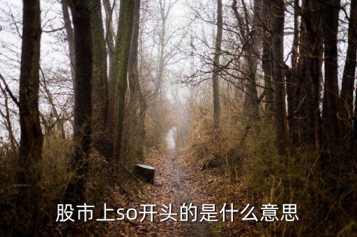 so股票什么意思，股市上so開頭的是什么意思