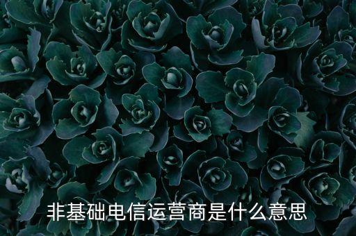 什么是基礎(chǔ)電信運(yùn)營(yíng)商，請(qǐng)問基礎(chǔ)電信企業(yè)是不是就是指幾大電信運(yùn)營(yíng)商啊不勝感激