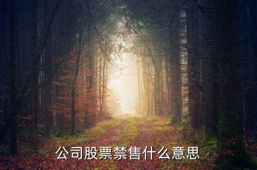 什么是禁售股，公司股票禁售什么意思