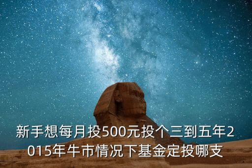 2015年新手買(mǎi)什么基金好，2015買(mǎi)什么基金比較好