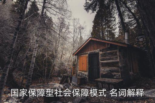 保障型保險(xiǎn)什么意思，國家保障型社會保障模式 名詞解釋