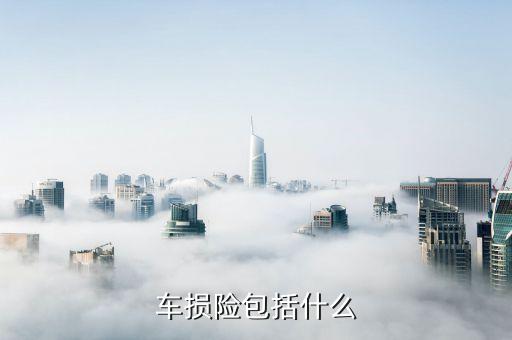 車(chē)損險(xiǎn)主要保什么，車(chē)損是保什么的