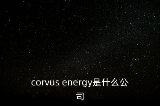 智慧松德是什么公司，corvus energy是什么公司