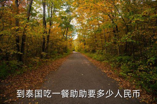 助幣是什么意思，到泰國吃一餐助助要多少人民幣