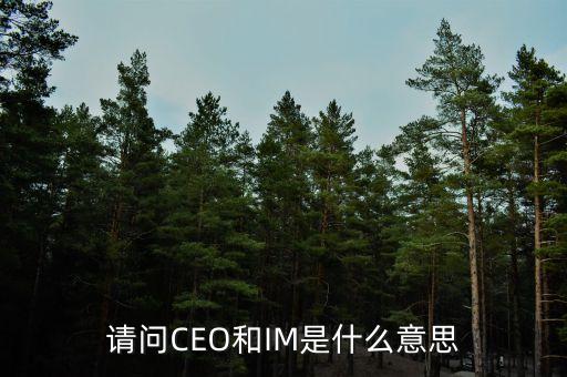 光大富尊IM是是什么，請問CEO和IM是什么意思