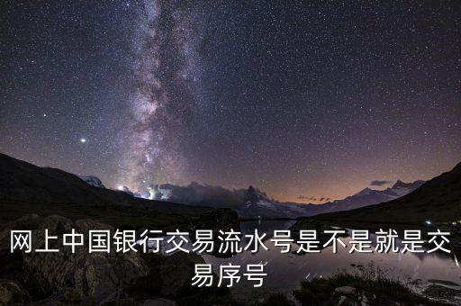 中國(guó)銀行企業(yè)網(wǎng)銀轉(zhuǎn)賬批次號(hào)什么意思，企業(yè)網(wǎng)銀客戶號(hào)是什么意思