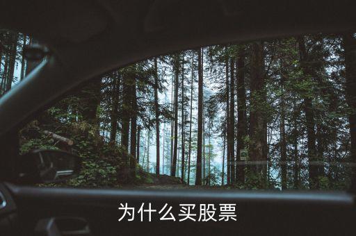 為什么會(huì)買股票，為什么買股票