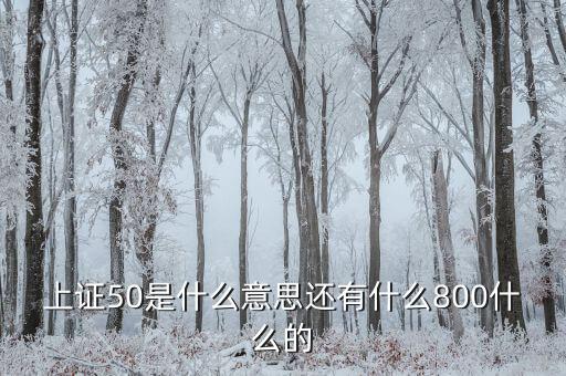 上證50什么意思，上證50是什么意思還有什么800什么的