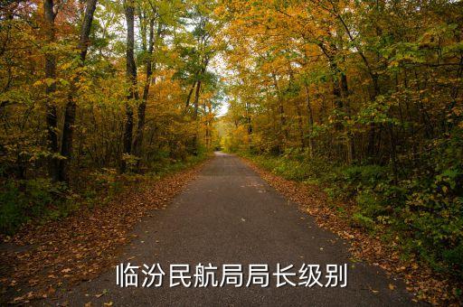 民航總局老干部局局長(zhǎng)是什么級(jí)別，臨汾民航局局長(zhǎng)級(jí)別