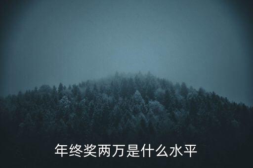 年終獎10000什么水平，月薪1700年終獎一萬算什么水平