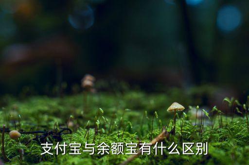支付寶錢包跟余額寶有什么區(qū)別，支付寶錢包賬戶余額跟余額寶有什么不同