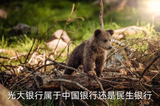 海寧光大銀行屬什么性質(zhì)，浙江海寧有光大銀行 嗎
