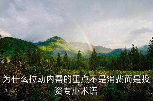 為什么拉動(dòng)內(nèi)需的重點(diǎn)不是消費(fèi)而是投資專(zhuān)業(yè)術(shù)語(yǔ)