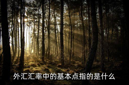 外匯基點(diǎn)是什么意思，外匯匯率中的基本點(diǎn)指的是什么