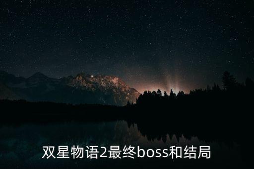 雙星汪海干什么去了，雙星 董事長