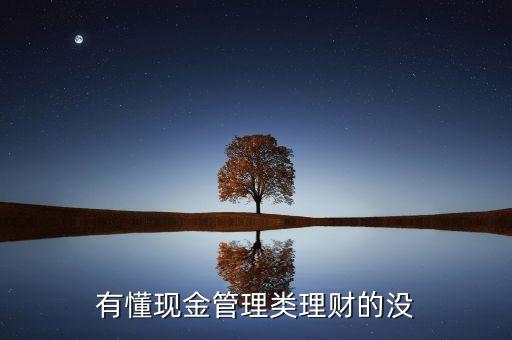 什么是現(xiàn)金管理類產(chǎn)品，簡(jiǎn)述什么是現(xiàn)金管理
