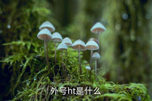 買受人號碼ht是什么，備案合同中買受人號碼HT