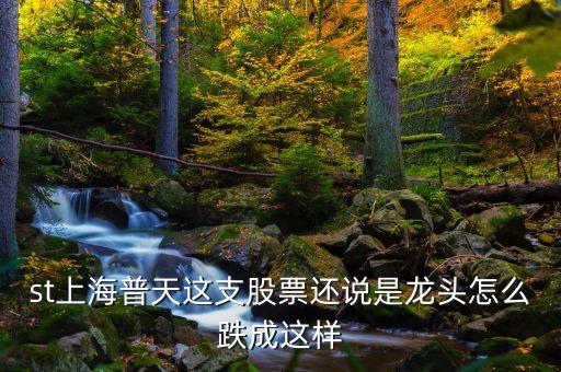 上海普天什么時(shí)間上市，st上海普天這支股票還說是龍頭怎么跌成這樣