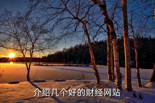 介紹幾個好的財(cái)經(jīng)網(wǎng)站
