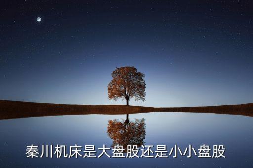 秦川機(jī)床是什么板塊的，600248是屬于什么板塊的股有潛力沒(méi)的能看高到多少價(jià)位