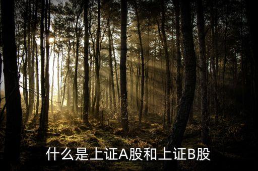 什么股票屬于上證，什么股票代碼屬于上證指數(shù)1A0001