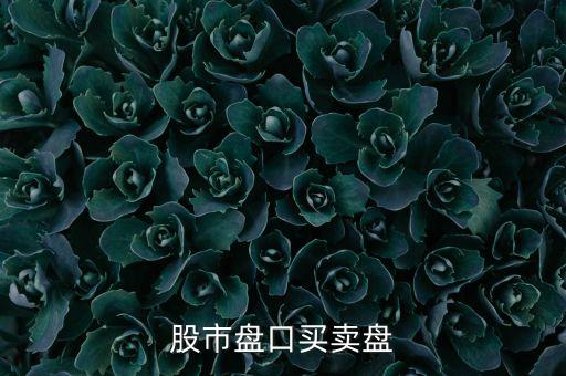 掛單666是什么意思，股票大盤中掛單量說明什么