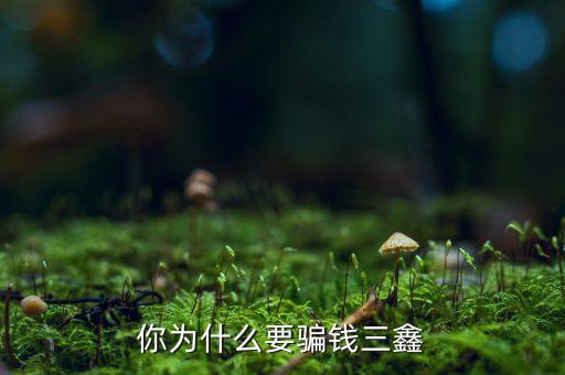 為什么中航三鑫，你為什么要騙錢三鑫