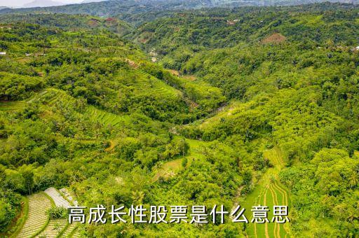 什么是高成長股票，高增長型股票是甚么意思