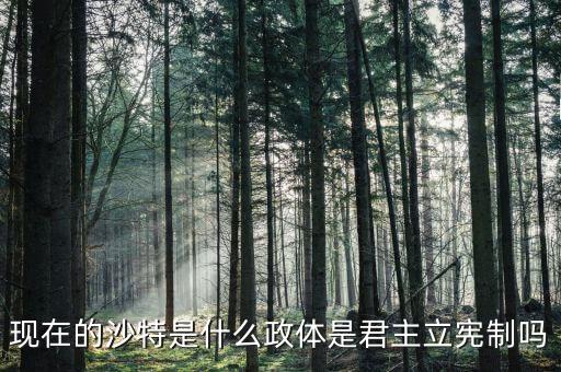 沙特是什么派別，阿拉伯人分幾派沙特屬于什么派