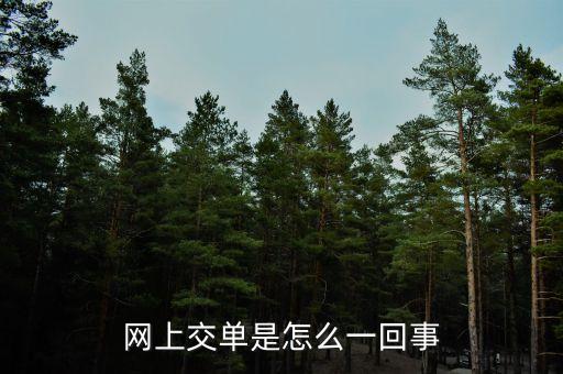 什么叫電子交單，網(wǎng)上交單是怎么一回事