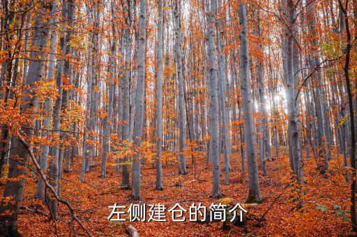 左側(cè)建倉的簡(jiǎn)介