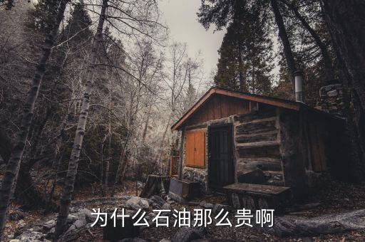 石油為什么這貴，石油為何那么貴