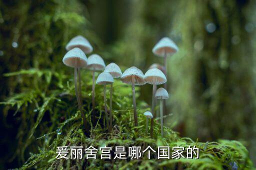 泰麗宮是什么，云南泰麗宮珠寶城的東西不是全是真的價(jià)格是天價(jià)我建議最好別在