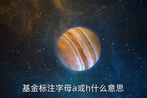 基金中的房地產(chǎn)a卷商a是什么意思，基金標(biāo)注字母a或h什么意思