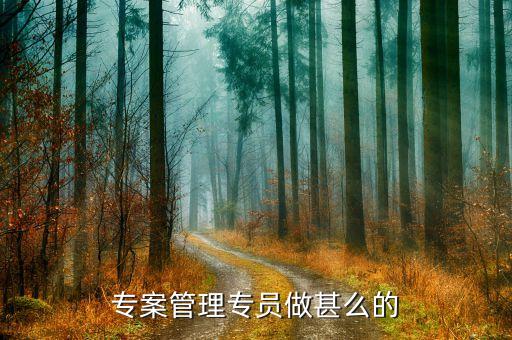 專案打點是什么工作，專案管理專員做甚么的