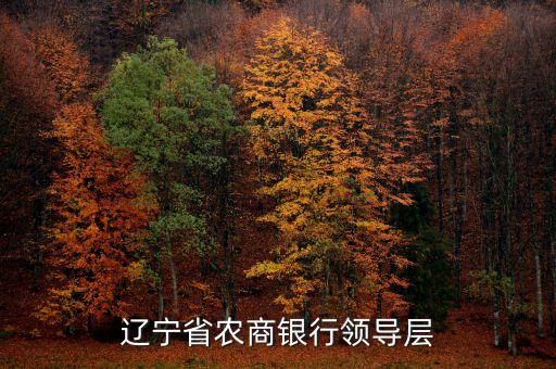 遼寧什么信用聯社理事長名單，遼寧省農村信用社聯合社現在叫什么名