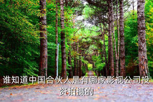 黃曉明投資公司叫什么，誰知道中國合伙人是有哪家影視公司投資拍攝的