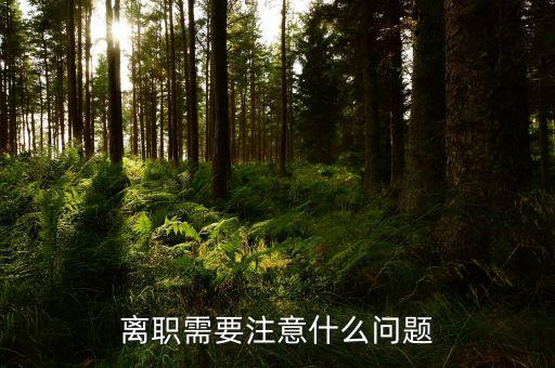 華北制藥辭職需要注意什么，辭職應(yīng)該注意些什么呢