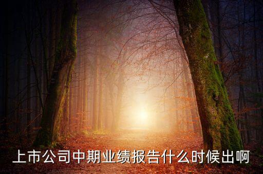 中報(bào)業(yè)績最晚什么時(shí)間公布，規(guī)定股票中報(bào)什么時(shí)候出