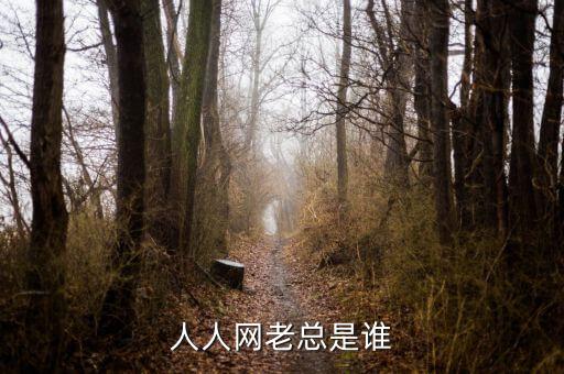 黃秋子是人人貸什么人副總裁，人人貸創(chuàng)始人是誰