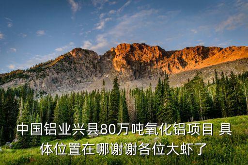 中鋁蔡安輝什么級別，中國鋁業(yè)興縣80萬噸氧化鋁項目 具體位置在哪謝謝各位大蝦了