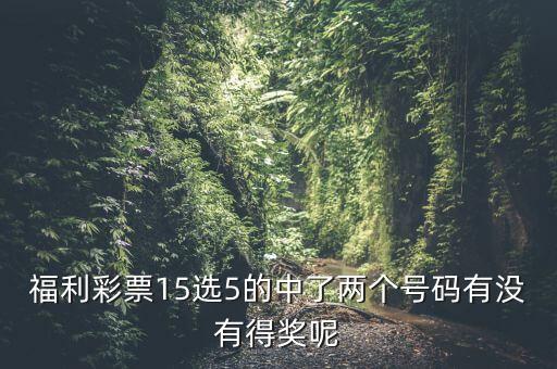 福利彩票15選5的中了兩個(gè)號(hào)碼有沒(méi)有得獎(jiǎng)呢